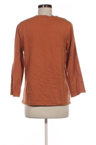 Damen Shirt Pull&Bear, Größe L, Farbe Braun, Preis € 10,00