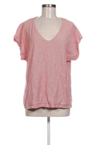 Damen Shirt Sa. Hara, Größe XXL, Farbe Mehrfarbig, Preis € 5,99