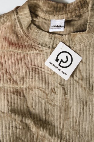 Damen Shirt Zara, Größe S, Farbe Grün, Preis 5,99 €