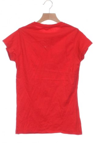 Damen T-Shirt Gildan, Größe XS, Farbe Rot, Preis € 6,49