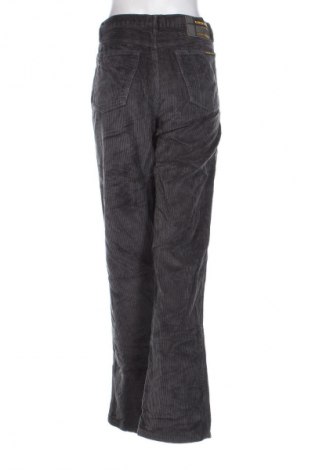 Pantaloni de velvet de femei, Mărime M, Culoare Gri, Preț 95,99 Lei