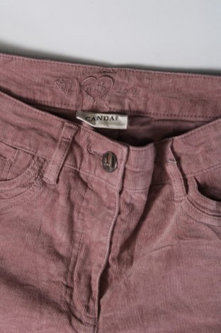 Pantaloni de velvet de femei Canda, Mărime M, Culoare Mov deschis, Preț 95,99 Lei