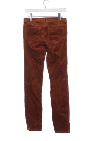 Pantaloni de velvet de femei Esprit, Mărime S, Culoare Maro, Preț 157,99 Lei