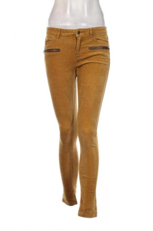 Damen Cordhose Esprit, Größe S, Farbe Braun, Preis € 33,99