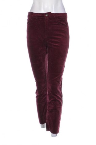 Damen Cordhose H&M Divided, Größe S, Farbe Rot, Preis 20,49 €