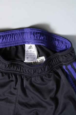 Damen Shorts Adidas, Größe XS, Farbe Schwarz, Preis € 23,99