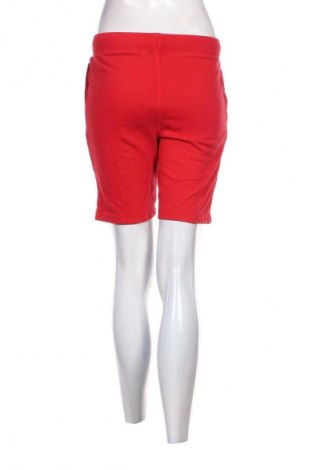 Damen Shorts Gap, Größe M, Farbe Rot, Preis € 14,00