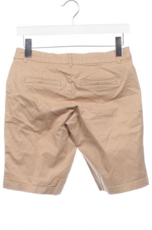 Damen Shorts ONLY, Größe XS, Farbe Beige, Preis € 13,99