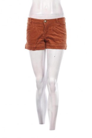 Damen Shorts ONLY, Größe XS, Farbe Braun, Preis € 13,99