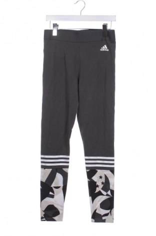 Dámske legíny  Adidas, Veľkosť M, Farba Sivá, Cena  19,45 €