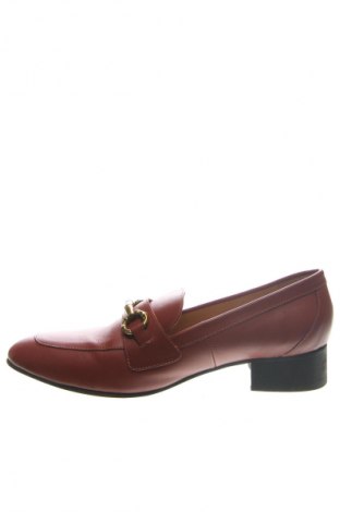 Damenschuhe Gino Rossi, Größe 39, Farbe Rot, Preis € 22,49