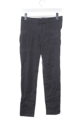 Damenhose Banana Republic, Größe S, Farbe Grau, Preis € 21,99