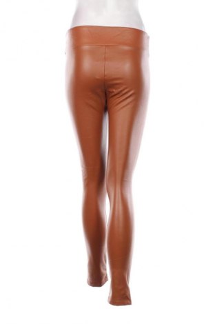 Damenhose Calzedonia, Größe M, Farbe Braun, Preis € 28,99