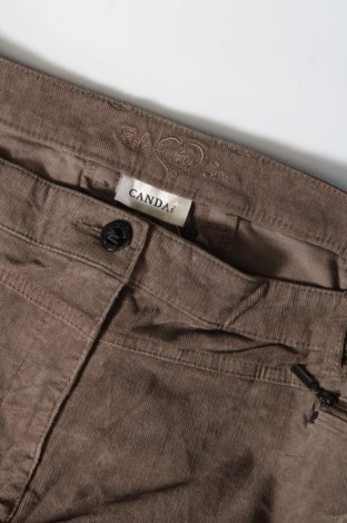 Damenhose Canda, Größe XL, Farbe Braun, Preis € 20,49