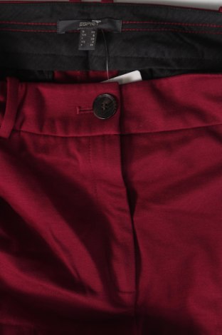 Damenhose Esprit, Größe XS, Farbe Rot, Preis € 28,99