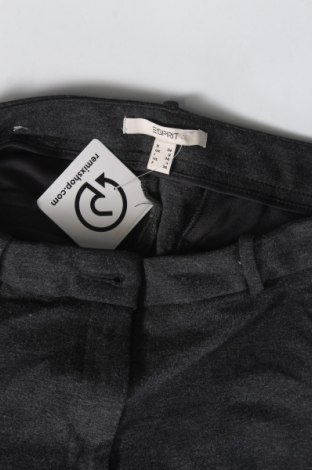 Damenhose Esprit, Größe XS, Farbe Grau, Preis € 11,99