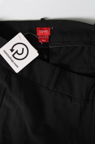 Damenhose Esprit, Größe M, Farbe Schwarz, Preis € 11,99