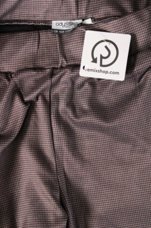 Damenhose Odyssee, Größe L, Farbe Mehrfarbig, Preis € 10,49