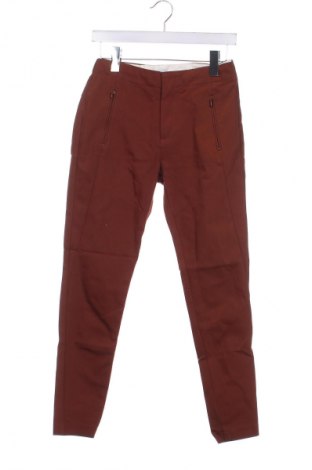 Damenhose Pieszak, Größe XS, Farbe Braun, Preis 13,99 €