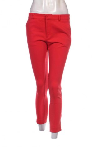 Damenhose Stradivarius, Größe S, Farbe Rot, Preis € 14,83