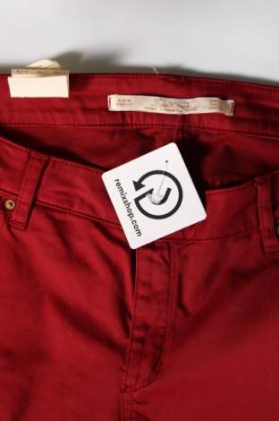 Damenhose Zara, Größe M, Farbe Rot, Preis € 43,49