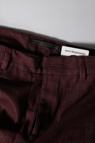 Damenhose Zara Trafaluc, Größe S, Farbe Rot, Preis € 18,99