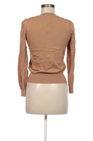 Damenpullover Petite Sophisticate, Größe M, Farbe Braun, Preis € 11,49