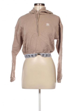 Damen Sweatshirt Adidas Originals, Größe S, Farbe Beige, Preis € 33,99