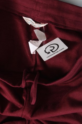 Damen Sporthose Primark, Größe M, Farbe Rot, Preis 10,49 €