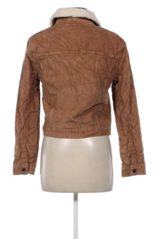 Damenjacke Hollister, Größe M, Farbe Braun, Preis 61,99 €