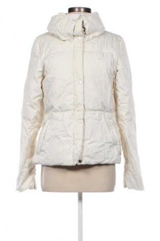 Damenjacke Lacoste, Größe M, Farbe Beige, Preis € 123,99