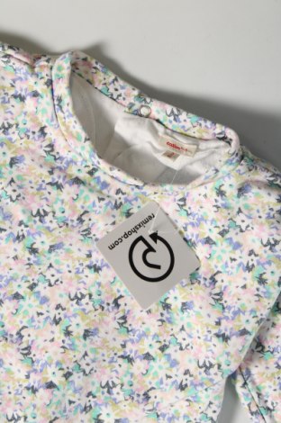 Kinder Shirt Catimini, Größe 12-18m/ 80-86 cm, Farbe Mehrfarbig, Preis € 7,99