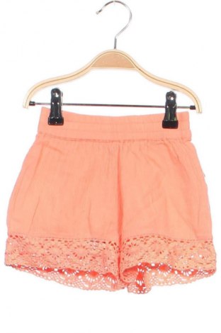 Kinder Shorts, Größe 2-3m/ 56-62 cm, Farbe Orange, Preis 7,99 €