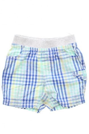 Pantaloni scurți pentru copii Baby Club, Mărime 6-9m/ 68-74 cm, Culoare Multicolor, Preț 27,99 Lei