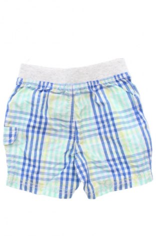 Kinder Shorts Baby Club, Größe 6-9m/ 68-74 cm, Farbe Mehrfarbig, Preis € 7,79