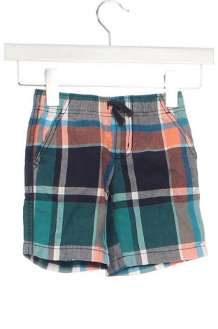 Kinder Shorts Gymboree, Größe 2-3m/ 56-62 cm, Farbe Mehrfarbig, Preis 2,99 €