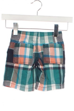 Kinder Shorts Gymboree, Größe 2-3m/ 56-62 cm, Farbe Mehrfarbig, Preis 2,99 €