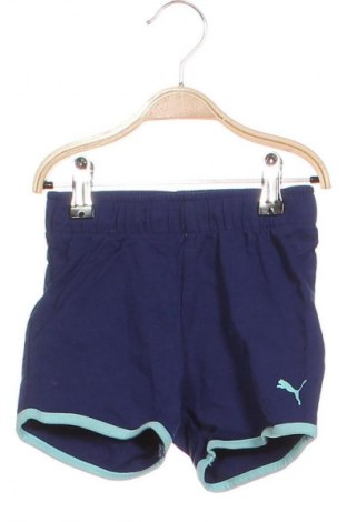 Kinder Shorts PUMA, Größe 1-2m/ 50-56 cm, Farbe Blau, Preis € 4,99