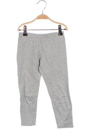 Kinderlegging Impidimpi, Größe 2-3y/ 98-104 cm, Farbe Grau, Preis € 13,49