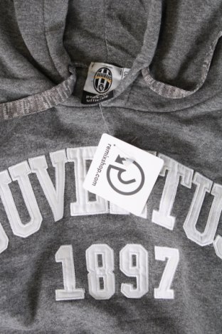 Детски суичър Juventus, Размер 9-10y/ 140-146 см, Цвят Сив, Цена 23,49 лв.