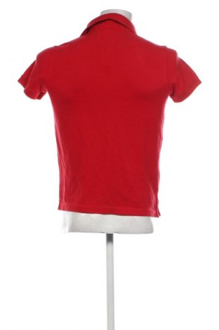 Herren T-Shirt Tommy Hilfiger, Größe S, Farbe Rot, Preis € 34,71