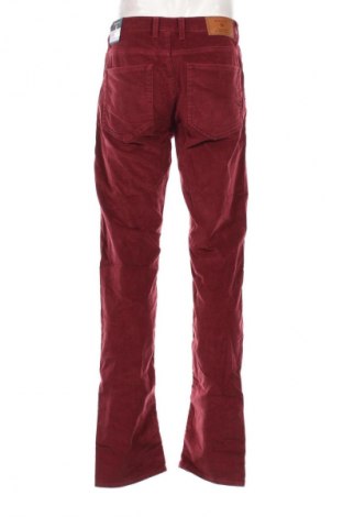 Herren Cordhose Gant, Größe M, Farbe Rot, Preis 34,99 €