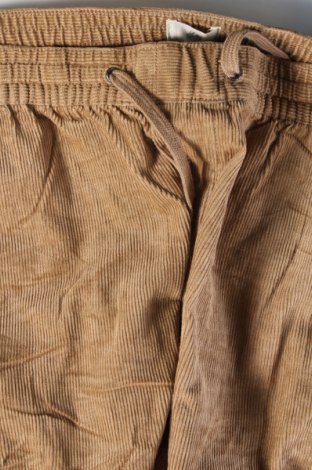 Herren Cordhose H&M, Größe M, Farbe Beige, Preis € 13,99