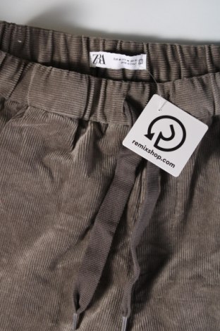 Herren Cordhose Zara, Größe M, Farbe Grün, Preis € 18,99