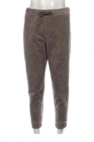 Herren Cordhose Zara, Größe M, Farbe Grün, Preis € 18,99