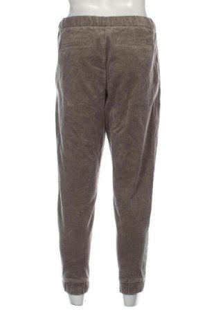 Herren Cordhose Zara, Größe M, Farbe Grün, Preis € 18,99