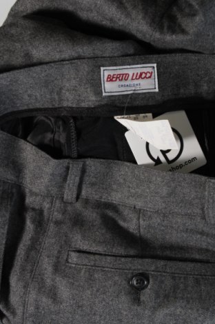 Herrenhose Berto Lucci, Größe M, Farbe Grau, Preis € 33,99