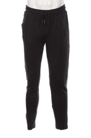 Herrenhose Dstrezzed, Größe M, Farbe Grau, Preis € 47,99