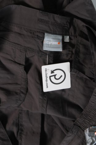 Pantaloni de bărbați Icepeak, Mărime XXL, Culoare Gri, Preț 407,99 Lei