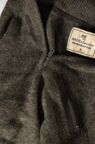 Ανδρικό πουλόβερ Abercrombie & Fitch, Μέγεθος M, Χρώμα Πράσινο, Τιμή 38,99 €